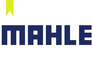 ifmat - Mahle