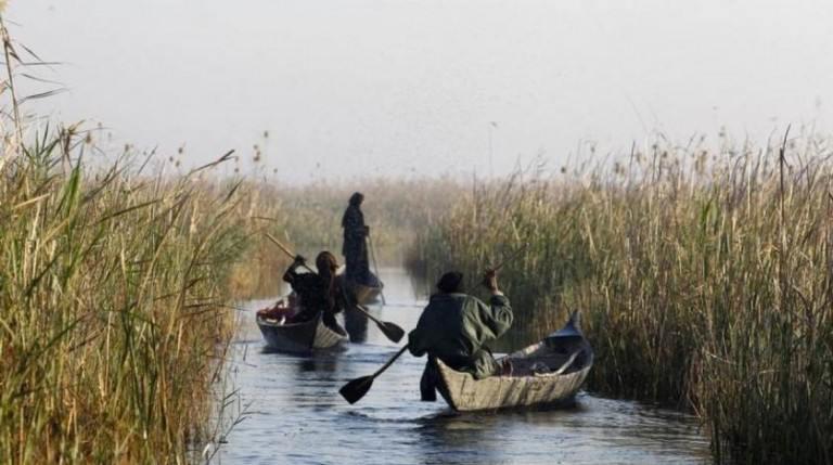 ifmat - Environmentalists blame Chinese companies for draining Iran marshes